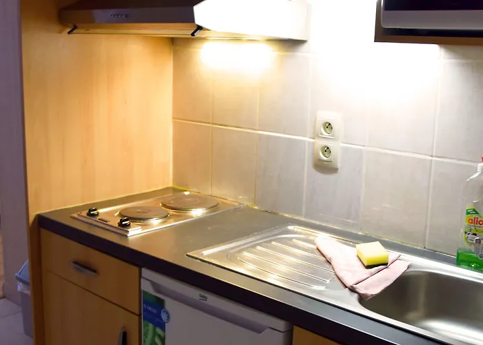 Ambassador Apartman *